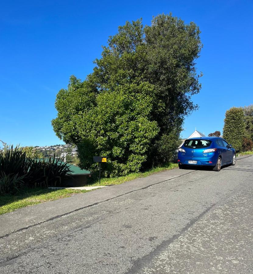 Fully Renovated Hillside Apartment Close To City Christchurch Eksteriør bilde